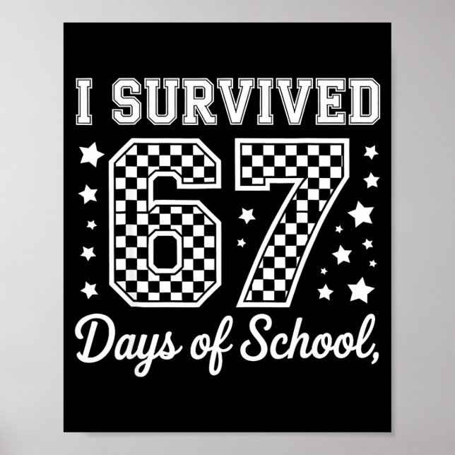 Poster Sobrevivi a 67 Dias de Aula Meme Divertido Profess (Frente)