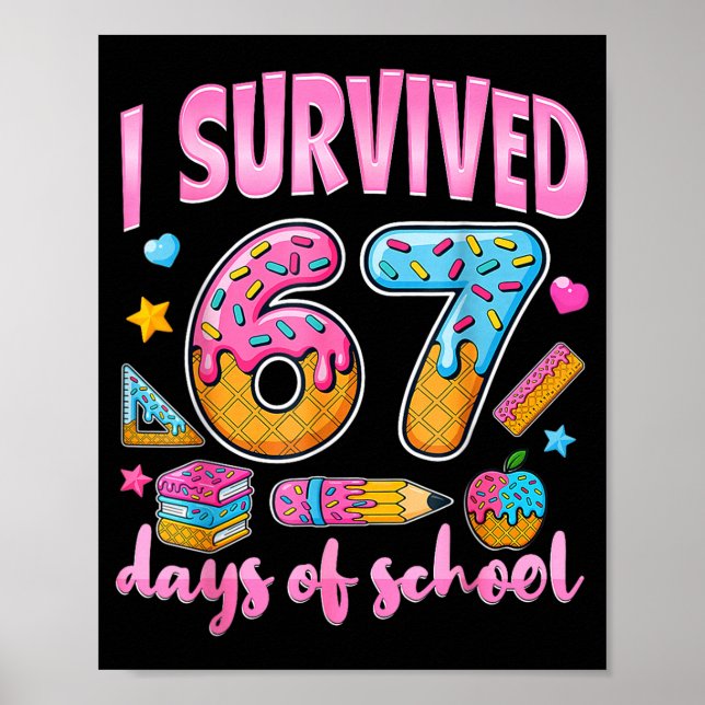 Poster Sobrevivi a 67 Dias de Aula Meme Divertido Profess (Frente)