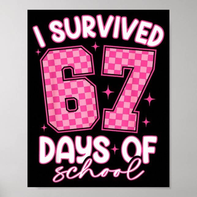 Poster Sobrevivi a 67 Dias de Aula Meme Engraçado Profess (Frente)