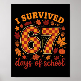 Poster Sobrevivi a 67 Dias de Escola Professor Engraçado