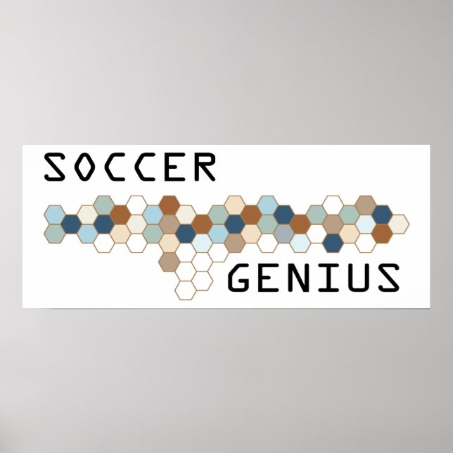 Pôster Soccer Genius (Frente)