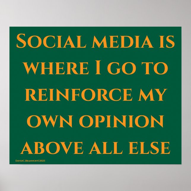 Poster "Social Media", satire, humor, society (Frente)