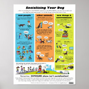 Poster Socializando seu cachorro