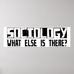 Pôster Sociologia O Que Mais Existe?