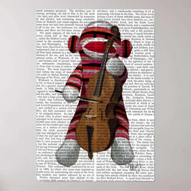 Pôster Sock Monkey e Cello (Frente)