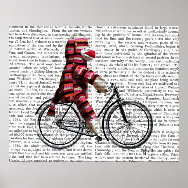 Pôster Sock Monkey on Bicycle (Frente)