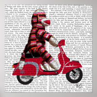 Sock Monkey on Moped