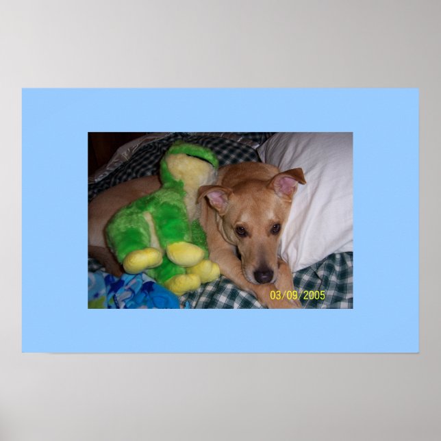 Pôster Sócrates (Frente)