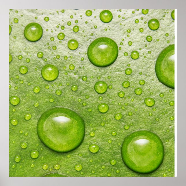 Poster "Soft Touch, Silent Drop" (Frente)