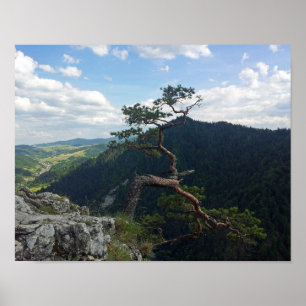 Pôster Sokolica, Pieniny