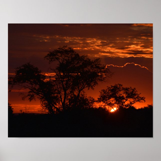 Pôster Sol (Frente)