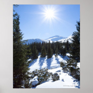 Poster Sol 5 do inverno