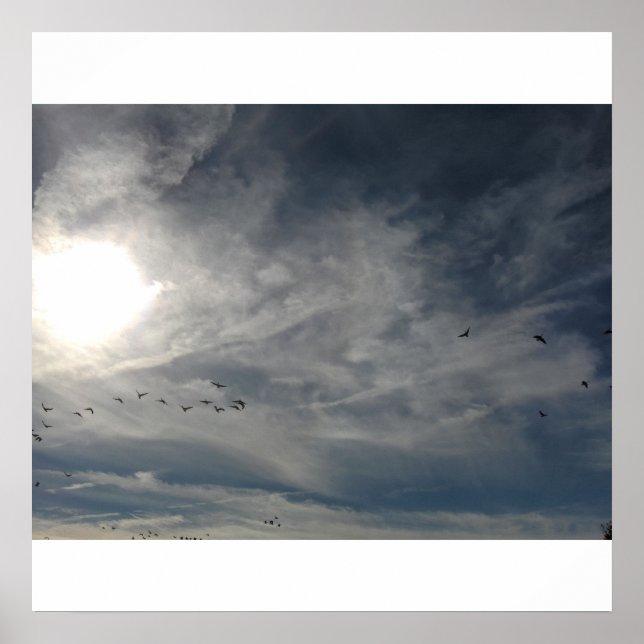 Poster sol branqueado (Frente)