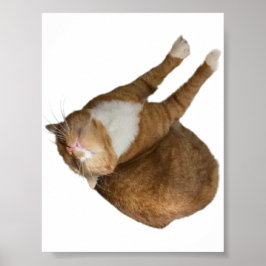 Poster Sol Brilhante Invertido