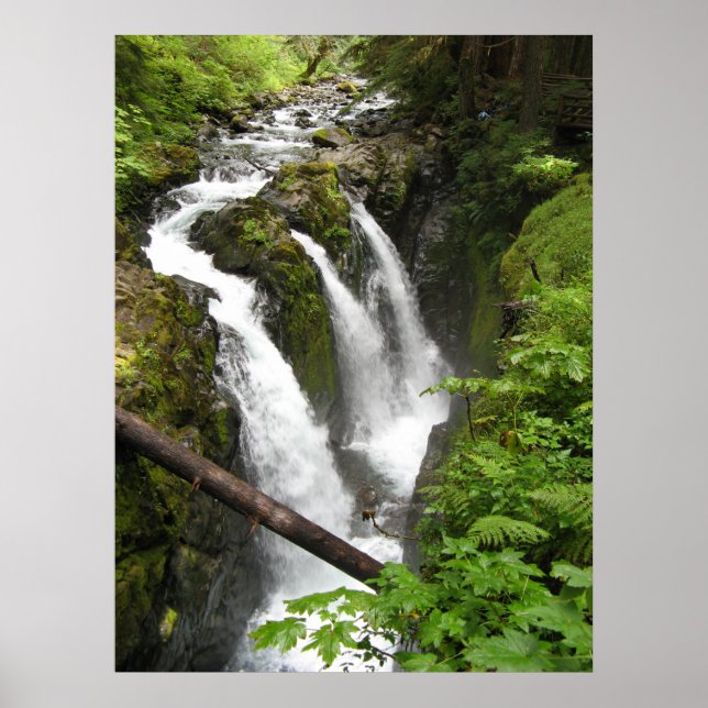 Poster Sol Duc Falls (Frente)