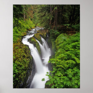 Pôster Sol Duc Falls in Olimpiadas National Park