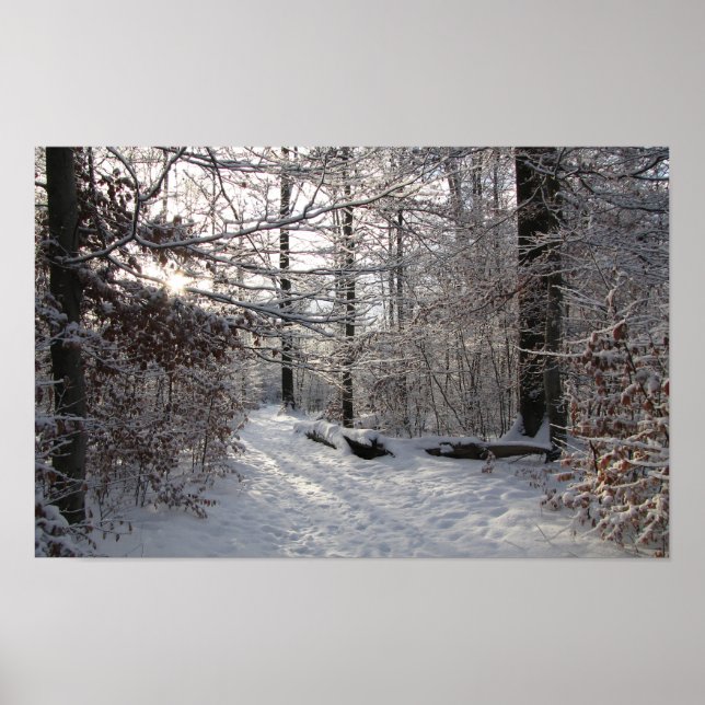 Poster Sol e frio (Frente)
