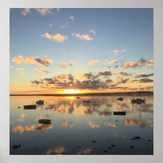 Poster Sol em galos ao lado do mar Norfolk