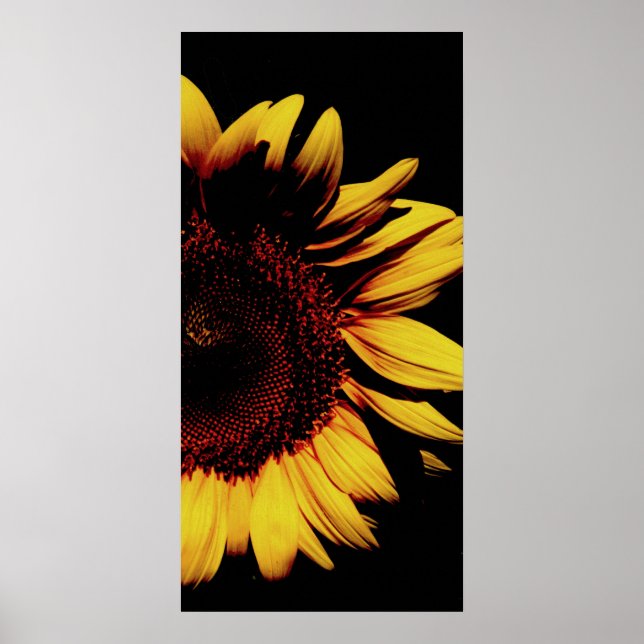 Pôster Sol escuro (Frente)