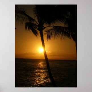 Pôster Sol nas árvores, descendo