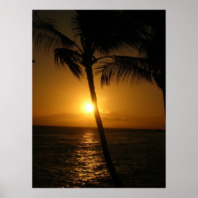 Pôster Sol nas árvores, descendo (Frente)