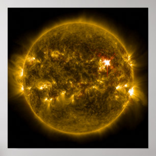 Poster Sol ouro