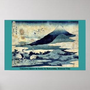 Pôster Solar de Umezawa em Soshu por Katsushika, Hokusai