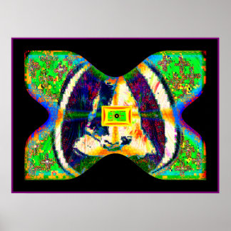 Pôster SOLARiSBUTTERFLY