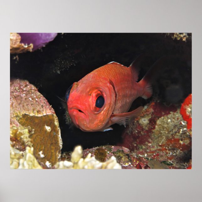 Poster Soldados (Frente)