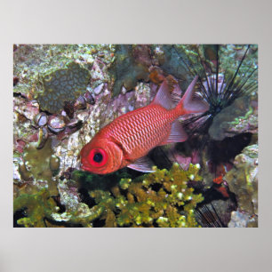 Poster Soldados