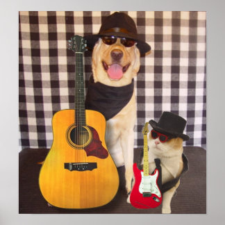 Pôster Solicitações de Tomada