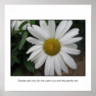 Poster Solicitações Simples