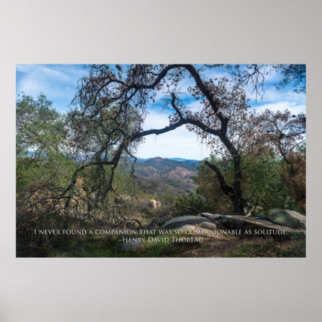 Poster Solidão - Henry David Thoreau (Frente)