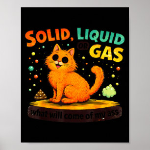 Poster Sólido Líquido Ou Gasoso Gato Divertido Física Ciê