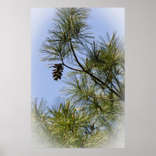 Poster Solitário