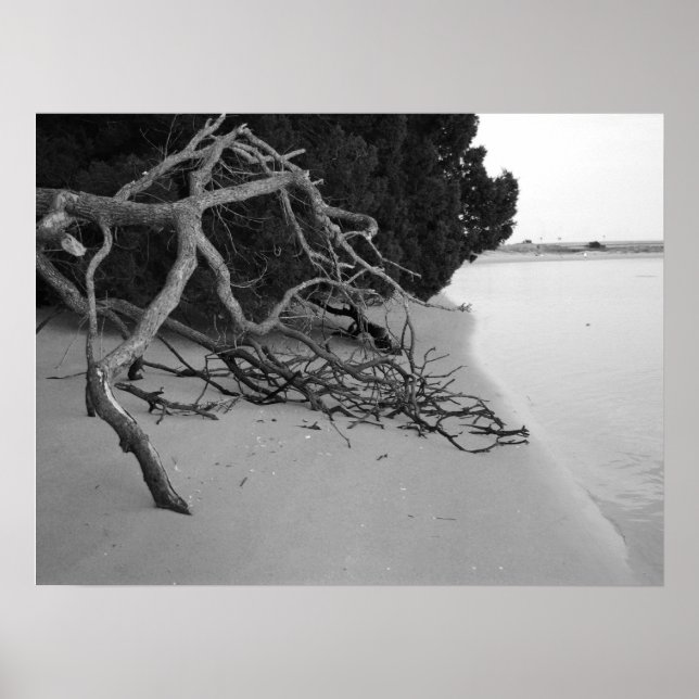 Poster Solitário Beach (Frente)