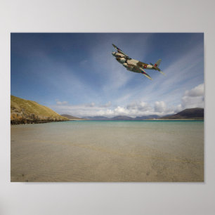 Poster ` Solitário do mosquito