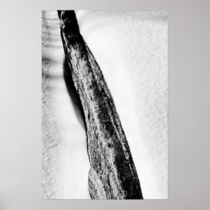 Poster solitário frio de duro longo