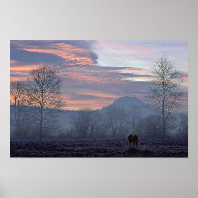 Poster Solitário Horse Grazing (Frente)