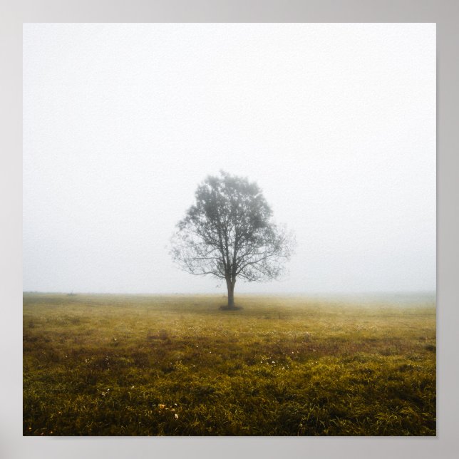 Poster Solitário numa manhã de outono nebulosa (Frente)