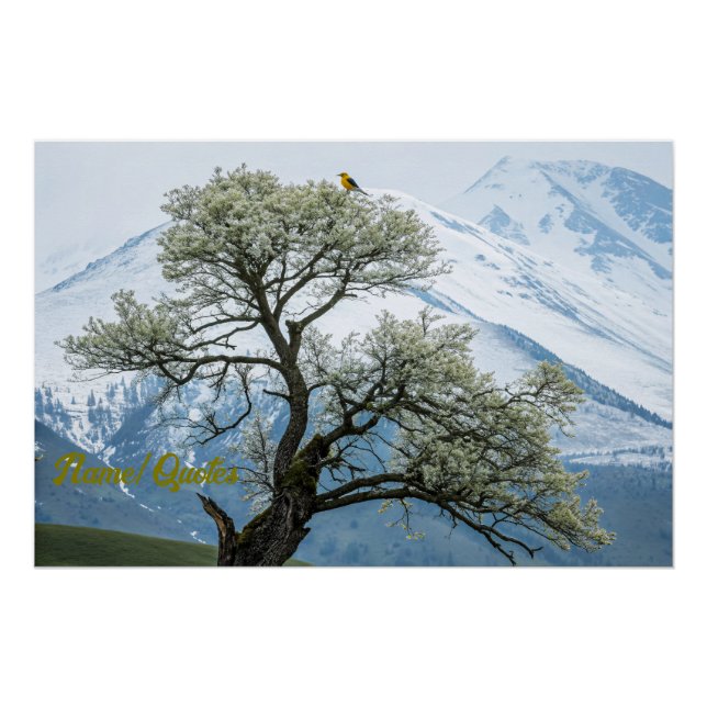 Pôster Solitary Blossoming Tree and Snowy Mountains (Frente)