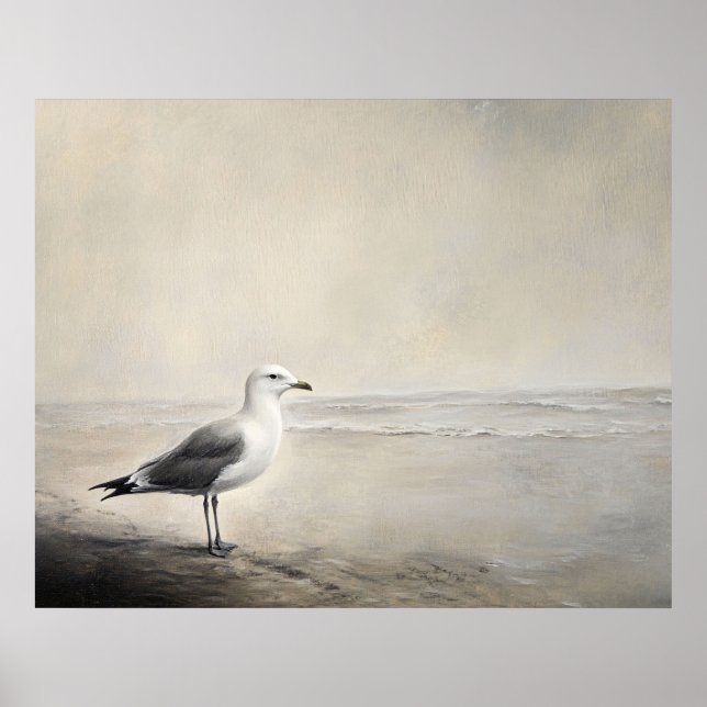 Poster Solitary Seagull by the Shore (Frente)
