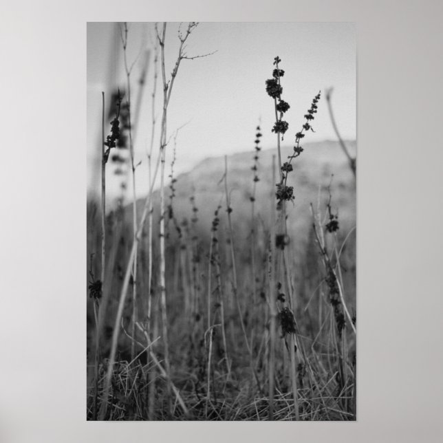 Pôster solitude (Frente)