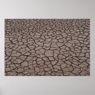 Poster Solo seco