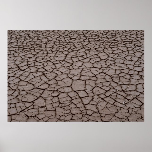 Poster Solo seco (Frente)