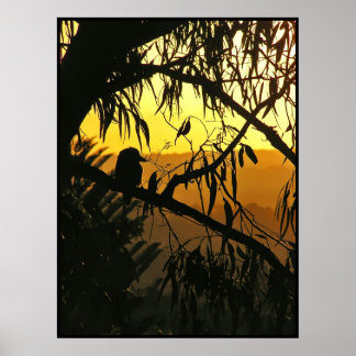 Poster Solstício Australiano