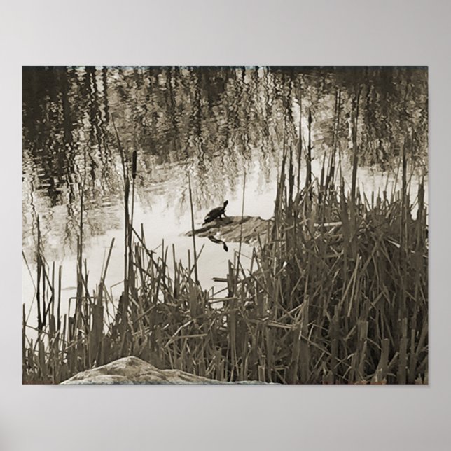 Poster Solstício de inverno (Frente)