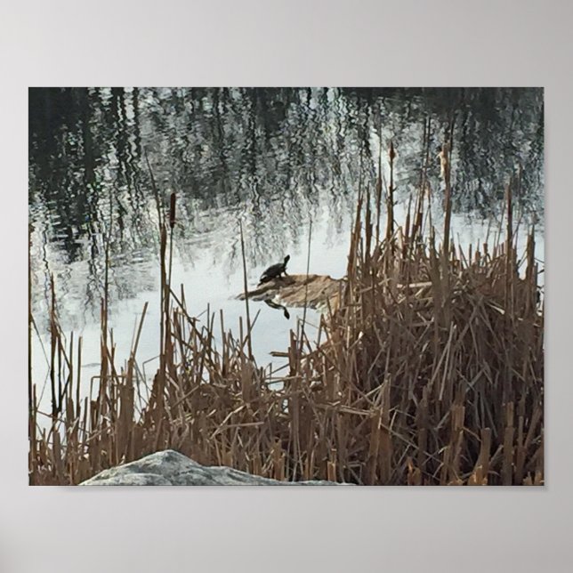 Pôster Solstício de inverno (Frente)