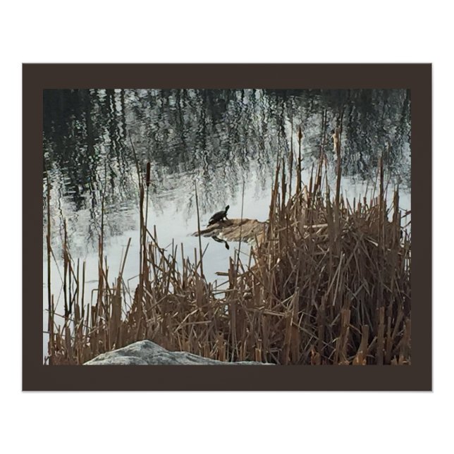 Pôster Solstício de inverno (Frente)