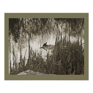 Pôster Solstício de inverno